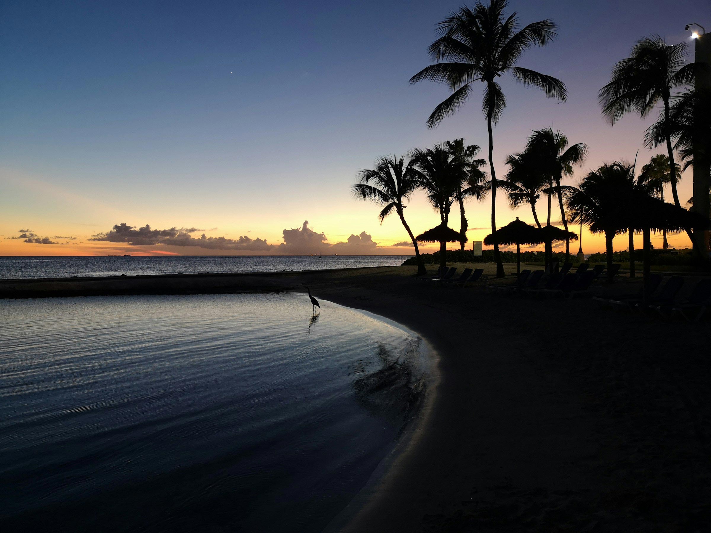 Aruba beach silhouette in the late afternoon